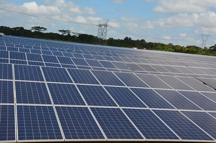 Parque Solar Celsia, en Santa Rosa de Lima, el primero en instalarse en el departamento. // EL UNIVERSAL