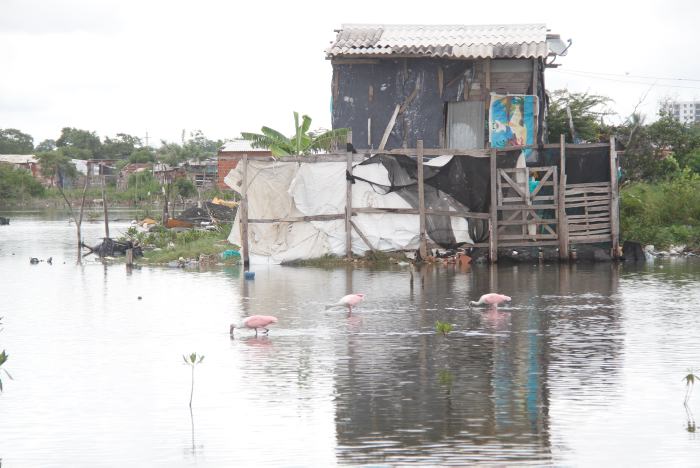casa de cartón, construida sobre el agua